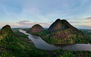 En Guain&iacute;a proponen sello &uacute;nico para exportaciones con denominaci&oacute;n de origen