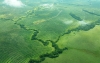 Palmeros no promueven deforestaci&oacute;n en Colombia
