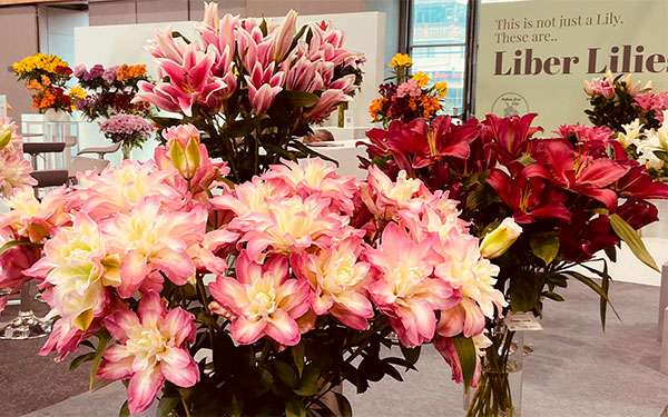 Proflora, el jard&iacute;n colombiano que se exporta para optimizar ambientes