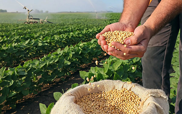 Aranceles gringos, no hay mal que por bien no venga: Henry Vanegas