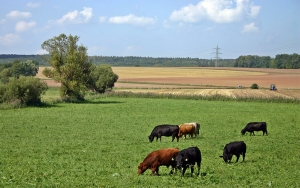 Agro contin&uacute;a siendo uno de los motores que sostiene la econom&iacute;a