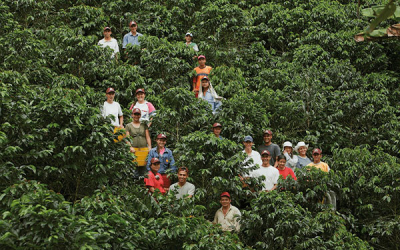 Caf&eacute; Seguro, protecci&oacute;n y estabilidad financiera para peque&ntilde;os caficultores