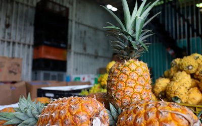 Junio, mes favorable para frutas, carne de cerdo y procesados