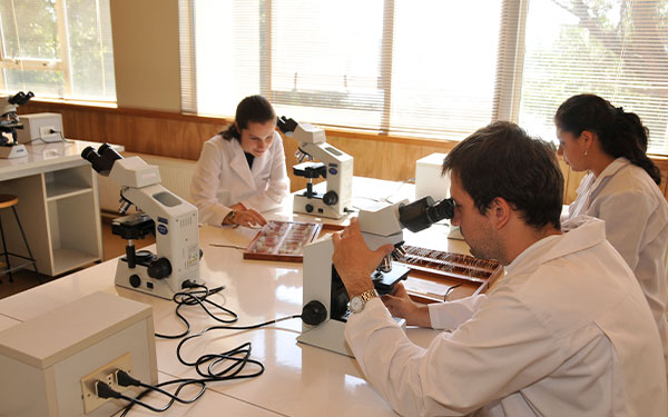 Servicios tecnol&oacute;gicos Chile-Colombia: negocios superan los US$51 millones