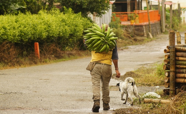 Colombia necesita v&iacute;as terciarias y no asistencialismo perverso: SAC