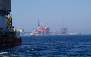 M&aacute;s vale p&aacute;jaro en mano