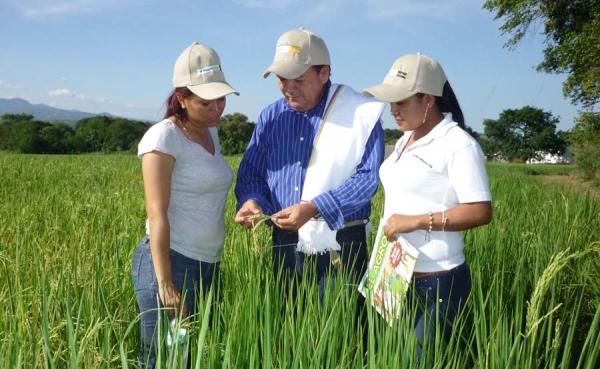 Con cacao, mango y palma de aceite ser&aacute; viable duplicar exportaciones
