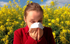 Siete millones de personas mueren anualmente por contaminaci&oacute;n del aire