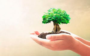 Kellogg&rsquo;s honra promesa de empaques 100% sustentables en Colombia