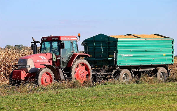 Programa Coseche y Venda a la Fija rompe expectativas