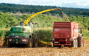 Modelo agrario para crecer con celeridad est&aacute; en las alianzas: Argensun