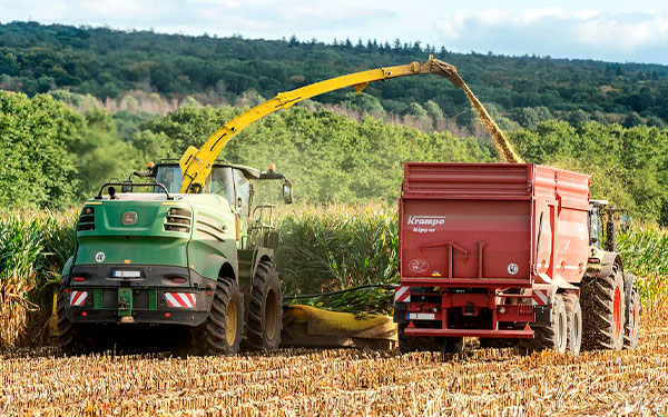 Modelo agrario para crecer con celeridad est&aacute; en las alianzas: Argensun