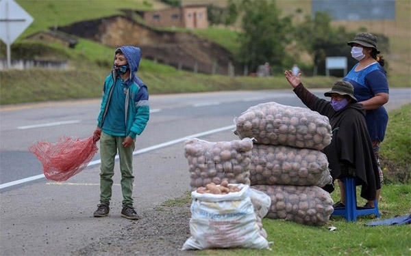 Ruina en plena cosecha: Campesinos colombianos en v&iacute;a de extinci&oacute;n
