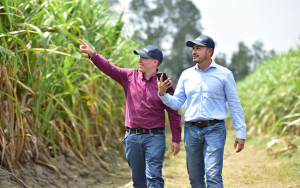 Incauca adelanta compras responsables y llenas de tejido social