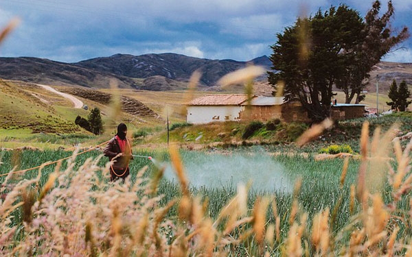 Por inconstitucionalidad, los TLC pueden revisarse o desistirse: ANUC