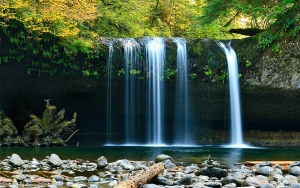 Aporte del sector empresarial a la conservaci&oacute;n del medio ambiente