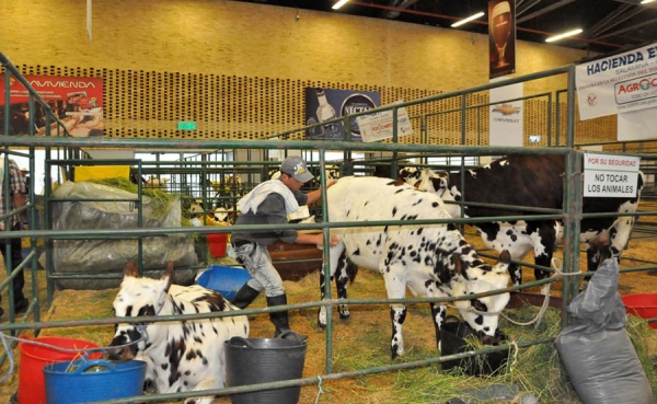 Agroexpo llega celebrando 20 a&ntilde;os de fortalecimiento tecnol&oacute;gico