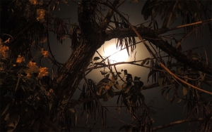 Paulatinamente, econom&iacute;a colombiana dejar&aacute; la penumbra: BBVA Research