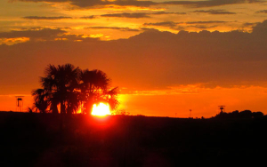 El regreso de Caribabare: t&iacute;tulo real reconocido y herederos prestos a concertar