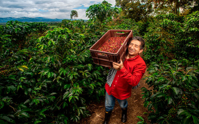 Caf&eacute;, uno de los grandes protagonistas del agro colombiano: UPRA