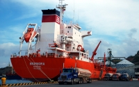 Puerto de Santa Marta, preparado para exportar aguacates a Estados Unidos