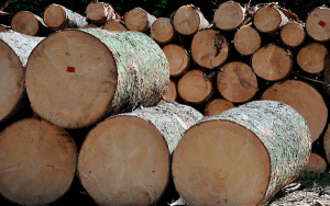 Con nuevos retos, asume director de FEDEMADERAS