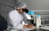Farmac&eacute;uticas, viables con reglas de juego claras: Scandinavia Pharma