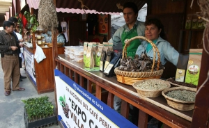 Per&uacute; celebra el d&iacute;a del caf&eacute; con feria alrededor de una cafetera de 4 metros