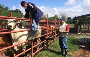 Con inmejorable gesti&oacute;n, ICA abre mercados para m&aacute;s productos colombianos