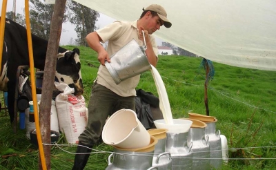 Fedeg&aacute;n le da buen recibo al debate l&aacute;cteo