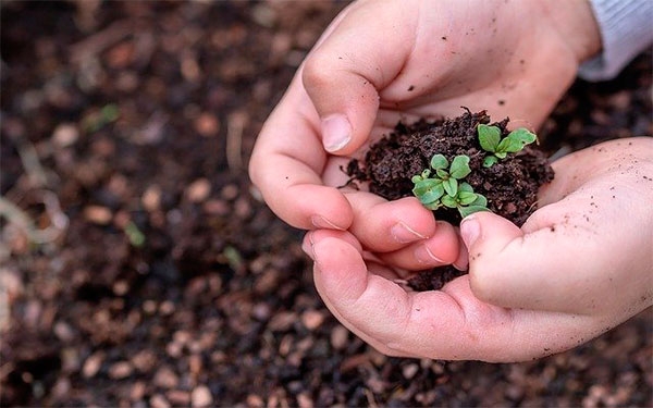 Colombia y su activo en semillas, potencial alimentario para el planeta