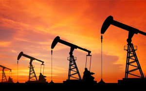 Transici&oacute;n energ&eacute;tica y resistencia al crudo llev&oacute; a d&eacute;ficit en inversi&oacute;n: ANH