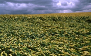 P&eacute;rdidas por US$11.000 millones report&oacute; la regi&oacute;n con cargo al clima