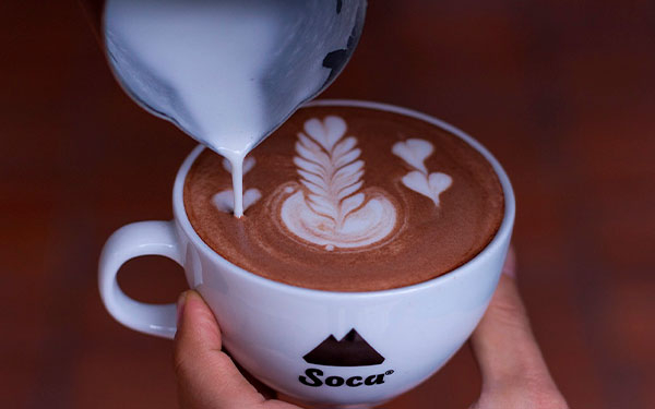 Soca, una espectacular familia del caf&eacute; con producto en China