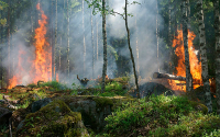 Mapas inteligentes que permiten anticiparse al fuego