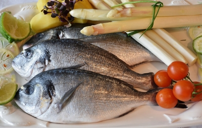 Gobierno beneficiar&aacute; a cerca de 127 mil familias que viven de la pesca