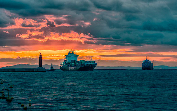 2022, un a&ntilde;o dif&iacute;cil, pero con oportunidades: Analdex