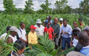 Fedepalma presentar&aacute; conclusiones en Expomalocas 2017