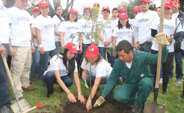 GELSA, de la mano con el ecosistema