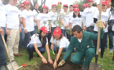GELSA, de la mano con el ecosistema