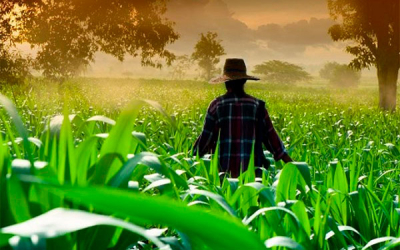 Heritage Grocers Group, opci&oacute;n para el agro colombiano sin intermediarios
