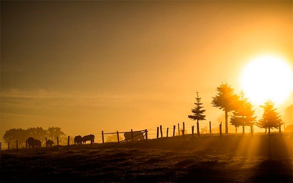 Asinfar-Agro, presente en el despertar de la ruralidad productiva