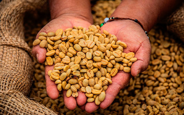 Caf&eacute; de Colombia fortalece su posicionamiento en China HOTELEX 2026