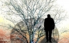 Alzheimer en tu plato: estos productos aceleran la p&eacute;rdida de la memoria
