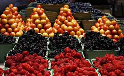 Empresas chilenas presentar&aacute;n en Colombia oferta de alimentos de ese pa&iacute;s
