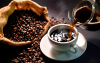 Caf&eacute;, sabor y tradici&oacute;n, factores que unen a Colombia y EE. UU: Amarella
