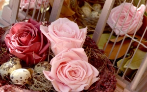 Grupo Innovaflora, una marca que preserva por naturaleza