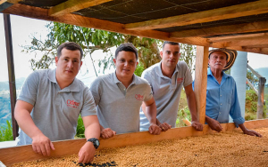 Caficultores deben avanzar en renovaci&oacute;n y calidad: C&eacute;limo Caf&eacute;