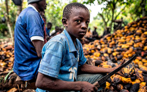 Chocolate esclavista en &Aacute;frica: Europa se beneficia de trata infantil