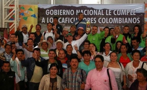 Apoyo gubernamental impuls&oacute; buen balance de los caficultores en 2015